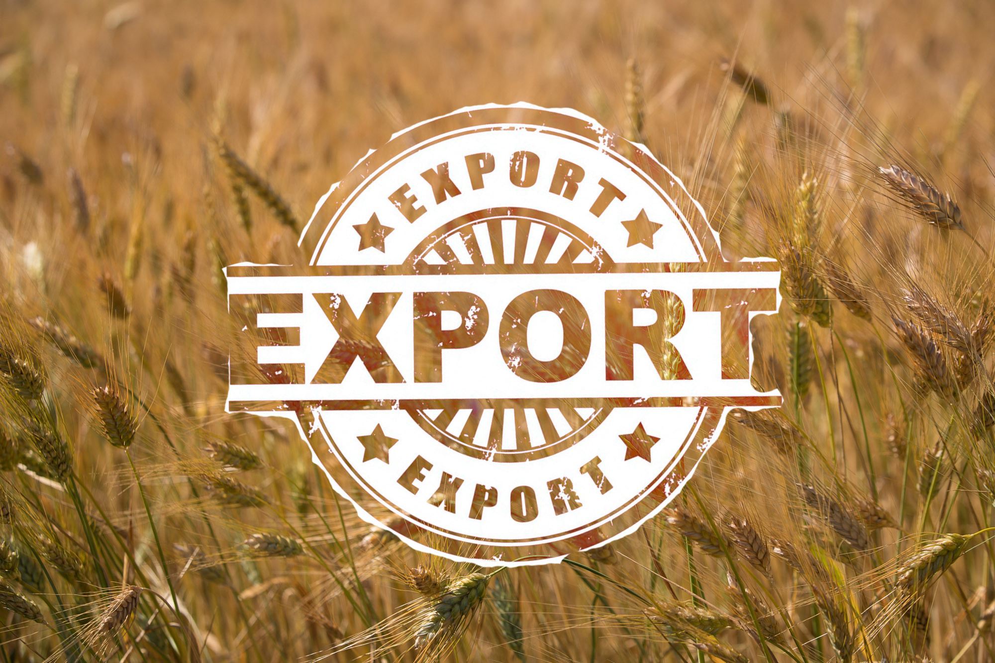 export mapp