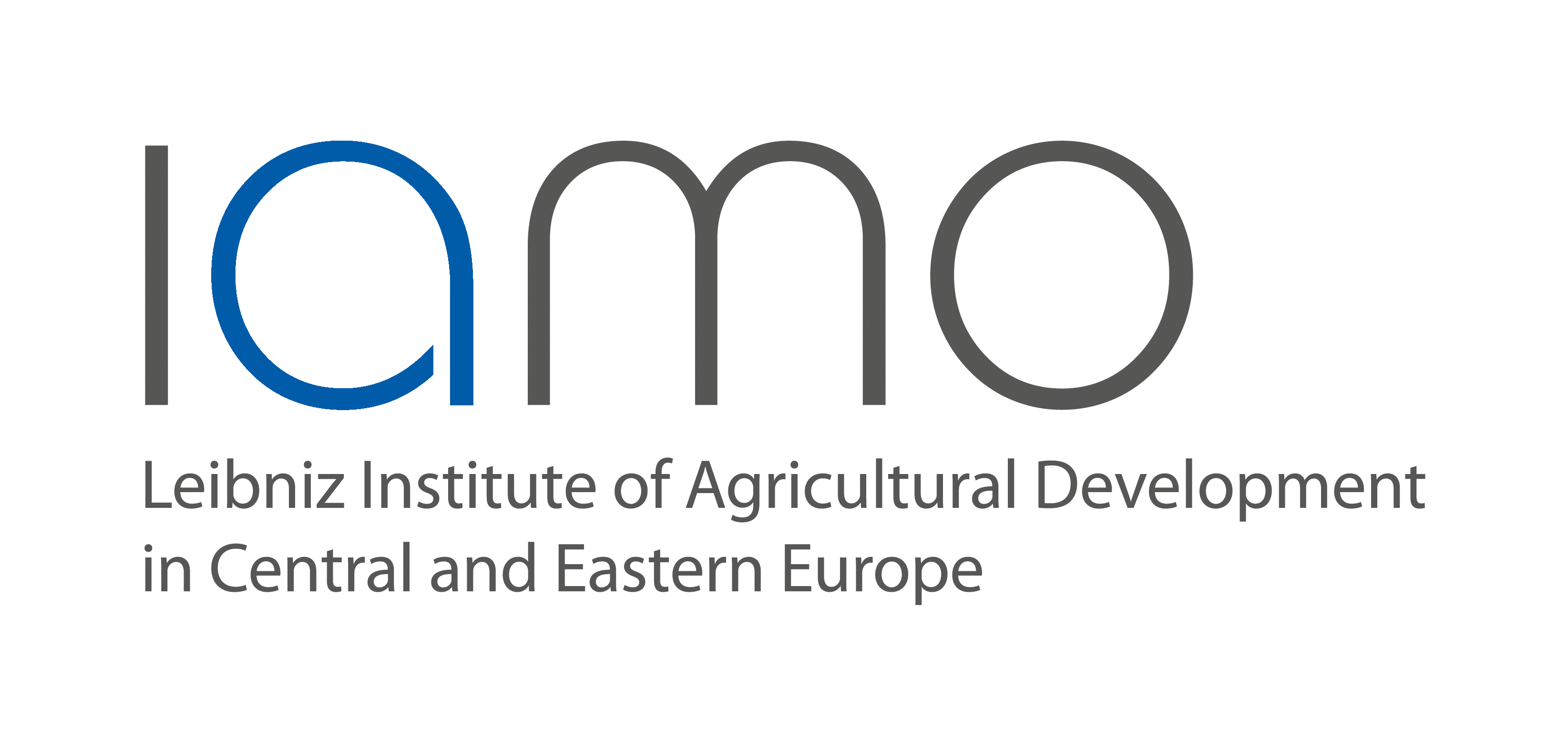 IAMO Logo EN neu